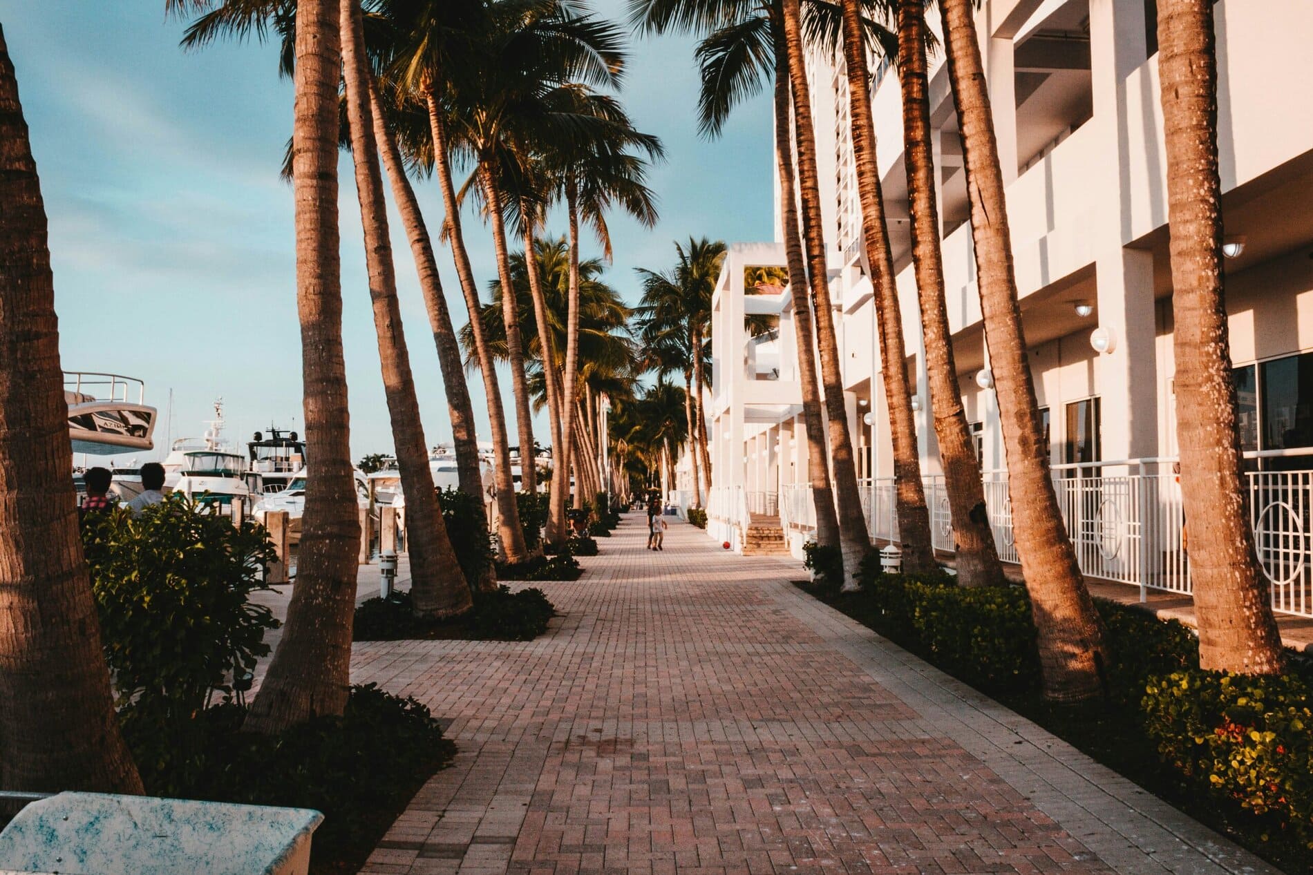 aditya-vyas-frSe_WXAL6k-unsplash