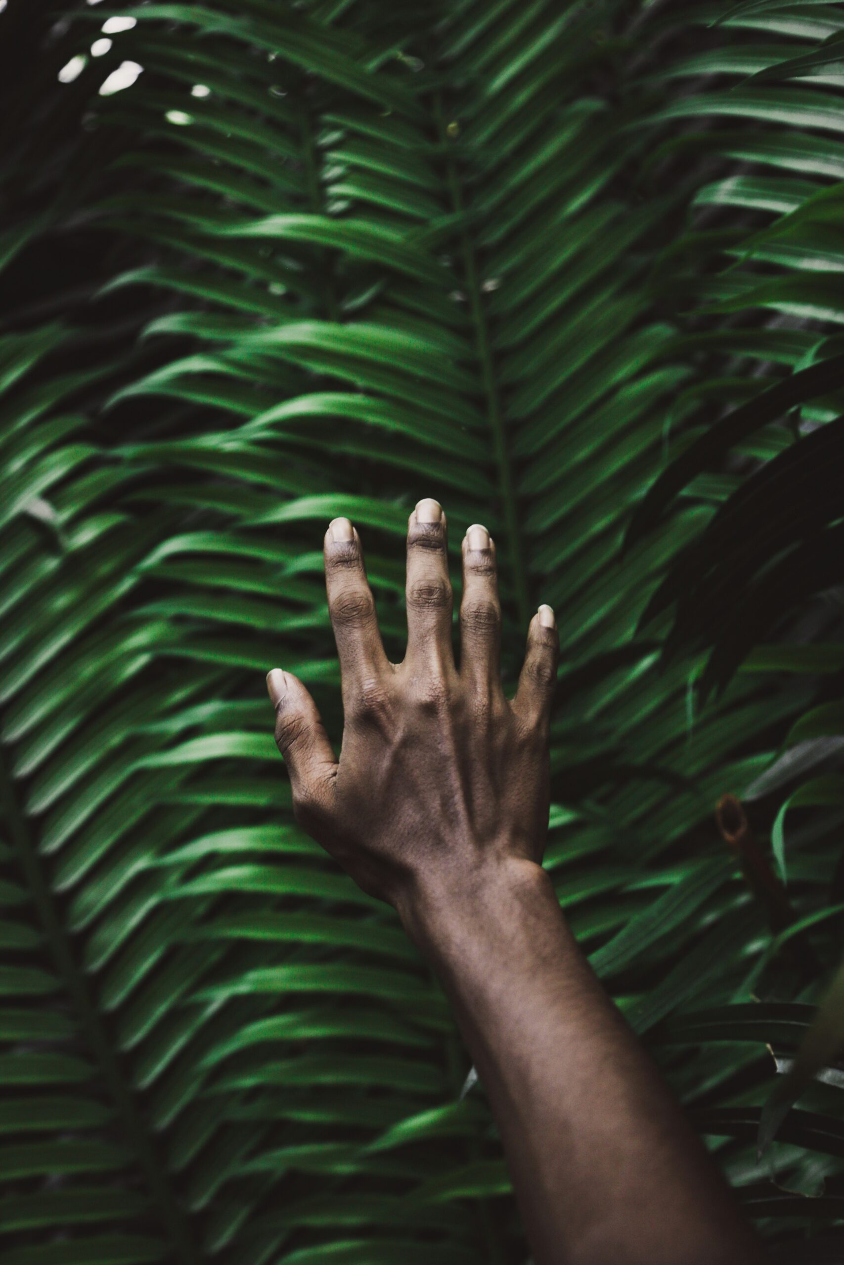 mohamed-lammah-LCMh96lFMkI-unsplash