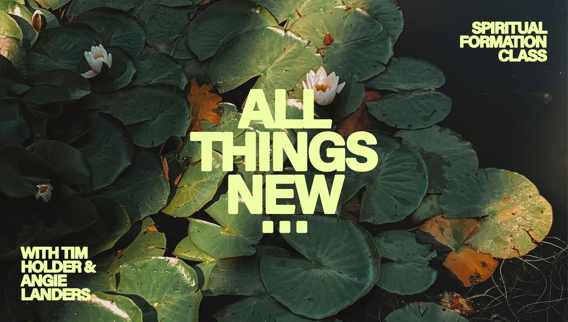 All Things New: A Study on Renewal & Hope